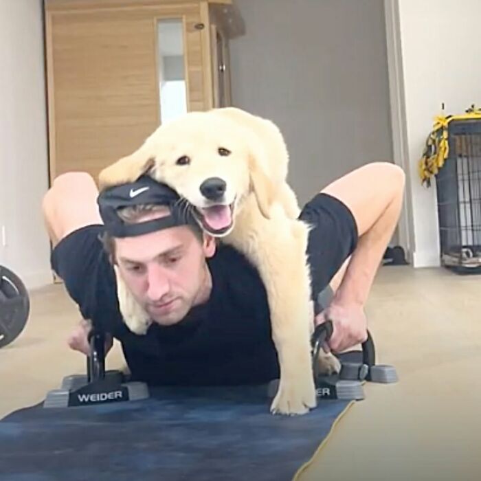 These Dogs Totally Crashed the Coolness Party and We Can't Stop Laughing