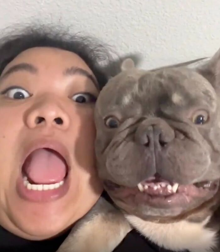 These Dogs Totally Crashed the Coolness Party and We Can't Stop Laughing
