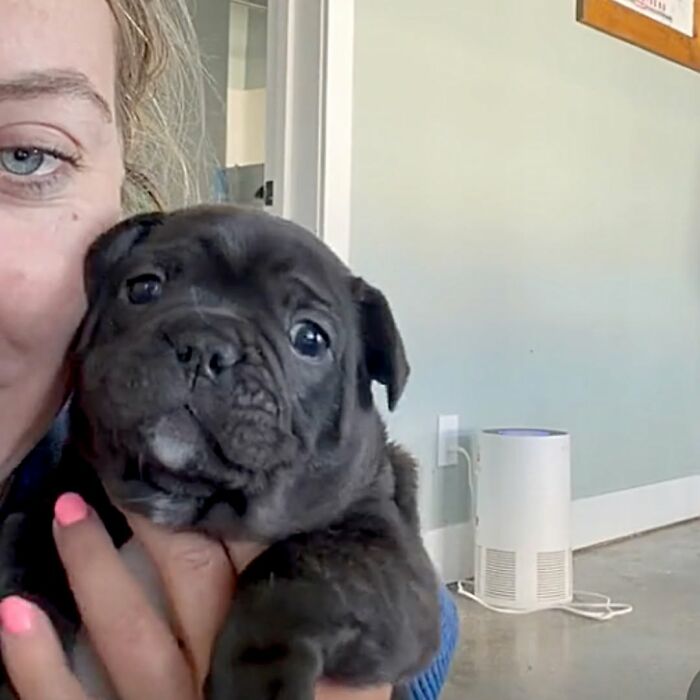These Dogs Totally Crashed the Coolness Party and We Can't Stop Laughing