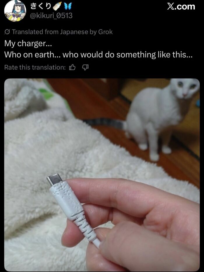 Wait Till You See These Totally Wild Screenshots!