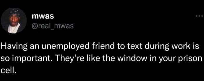 Wait Till You See These Totally Wild Screenshots!