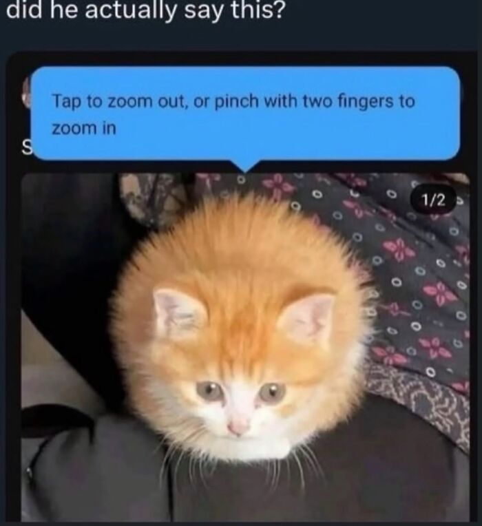 Wait Till You See These Totally Wild Screenshots!