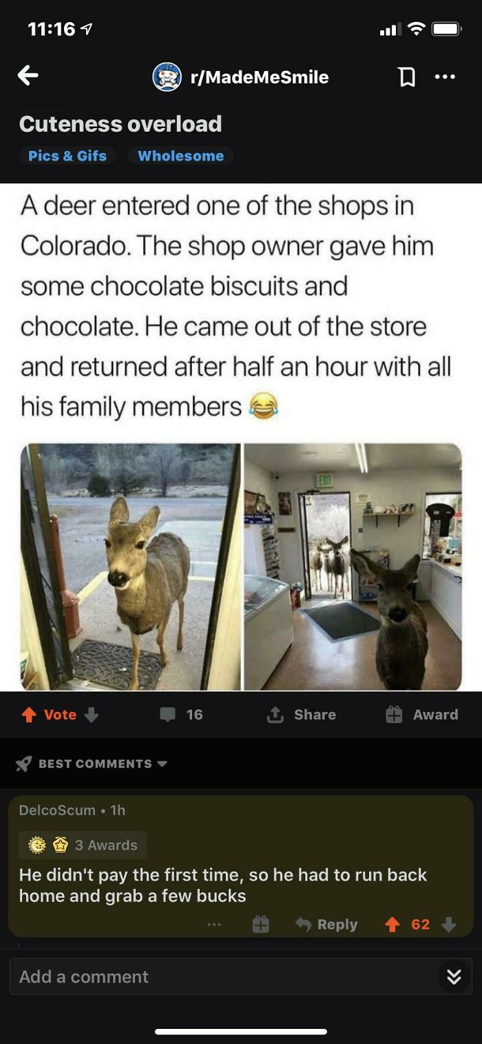 That Pun Was Totally On Point