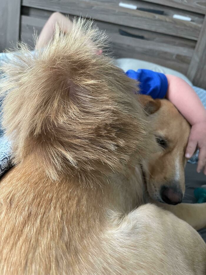 My Son + My Dog = Hair Twinsies