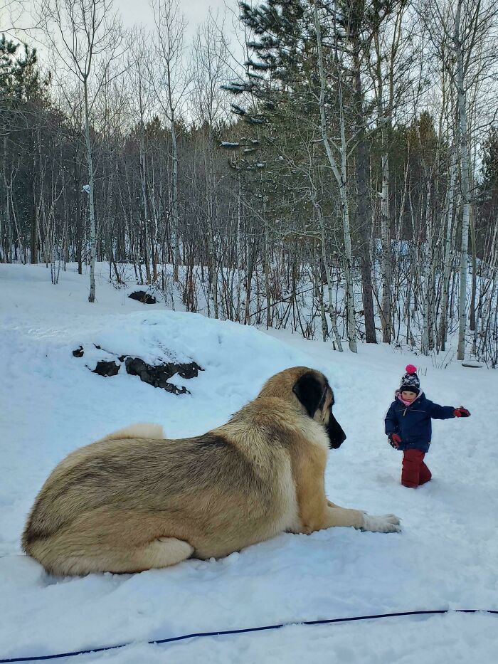 Who’s That Big Girl? Spoiler: It’s Big Fun!