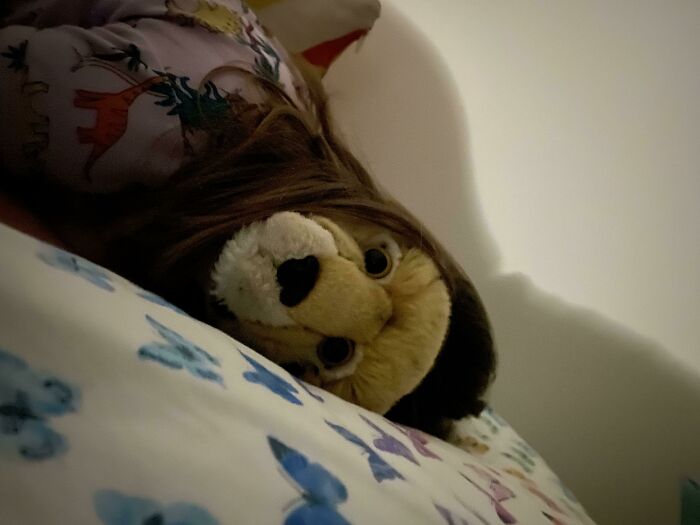 Kiddo Snoozing With Fave Stuffed Buddy