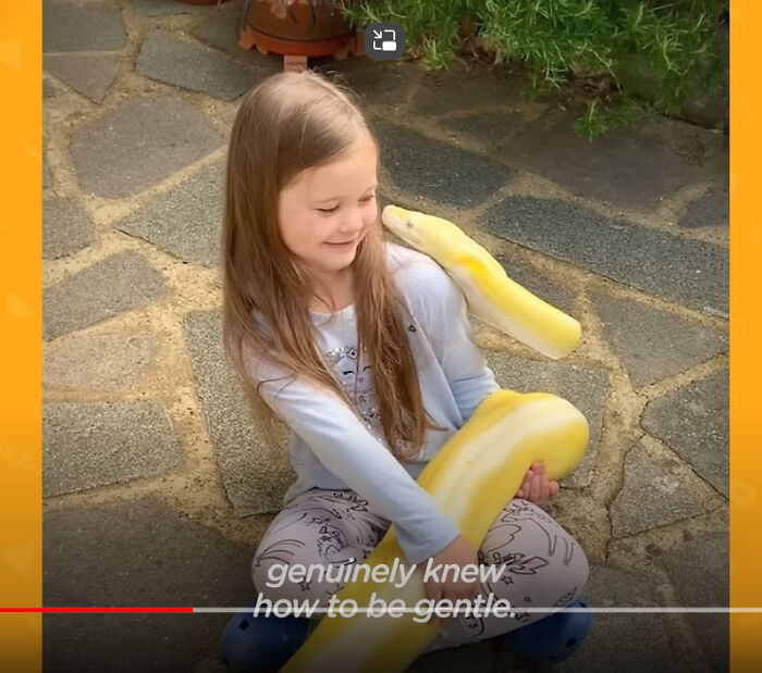 Where’d The Snake Go? That Segment Disappeared!