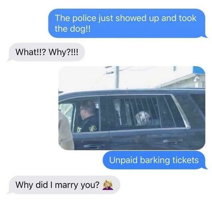 Doggo Deserves A Pun Award