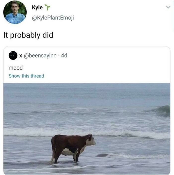 Mood (Puns Are Life)