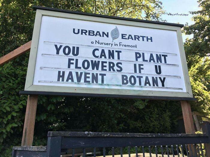 This Grew On Me (Plant Pun Magic)