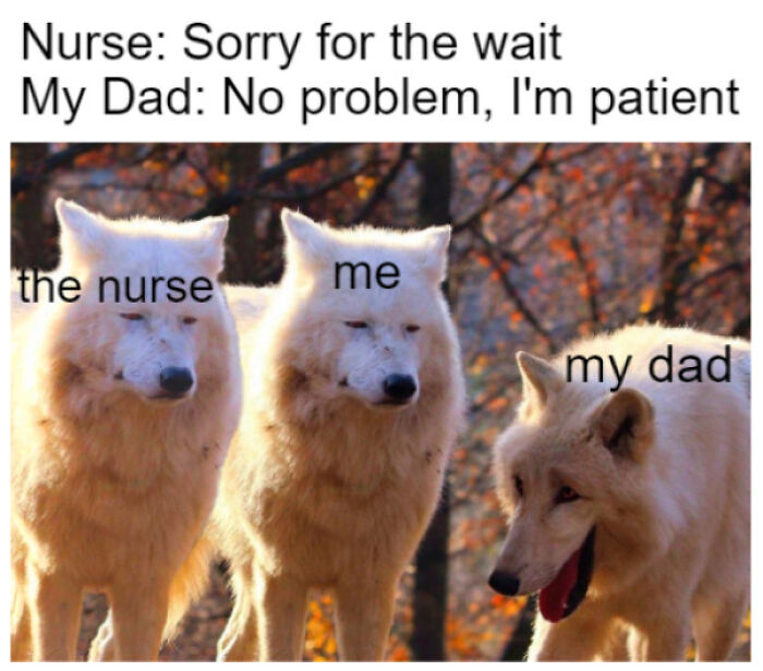 Good One Dad (Classic Dad Pun Alert)