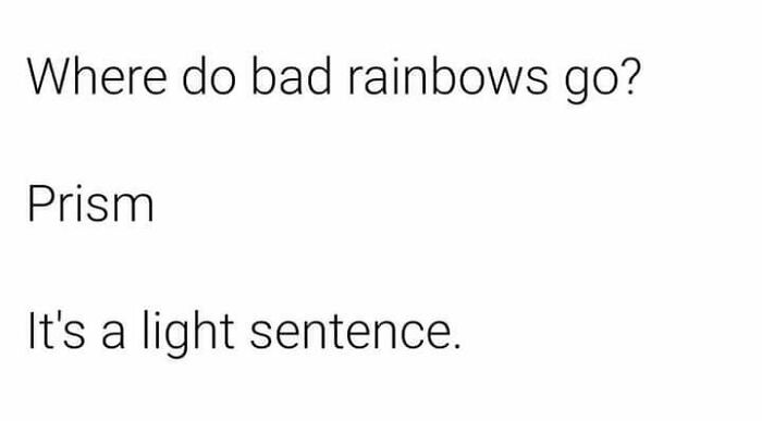 Why Did This Make Me Laugh So Hard?