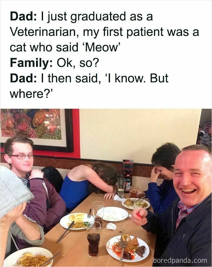 Veterinarian’s First Patient (Paws Up For This Pun)