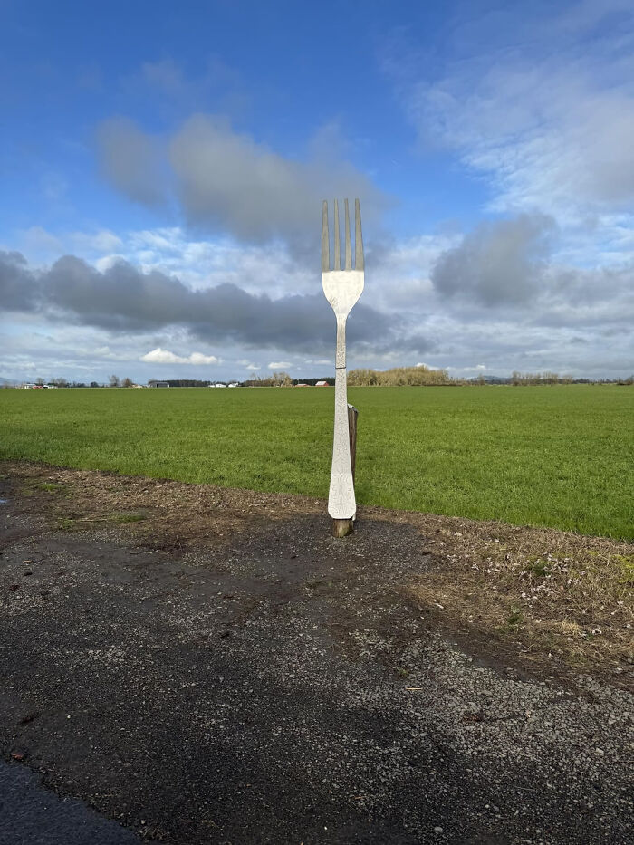 Today My Husband Insisted We Drive A Half Hour Out Of Our Way To See “A Fork In The Road”