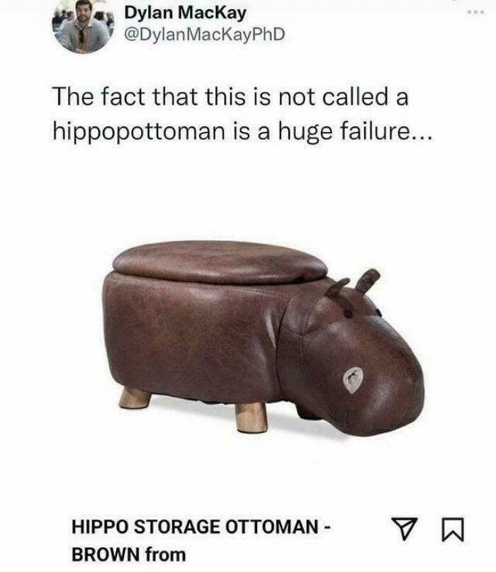 Do Portmanteaus Count? (So Many Puns, So Little Time)