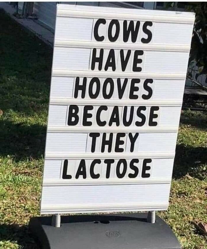 Udderly Ridiculous (Got Milk? Got Puns!)