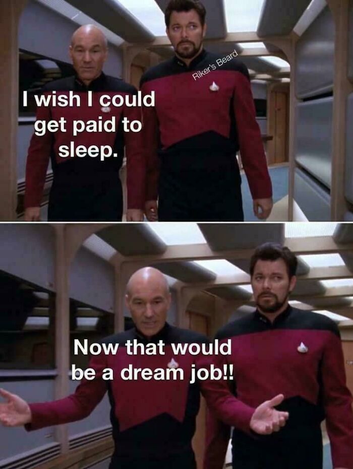 Sleeping On The Job (Dreaming Of Puns)