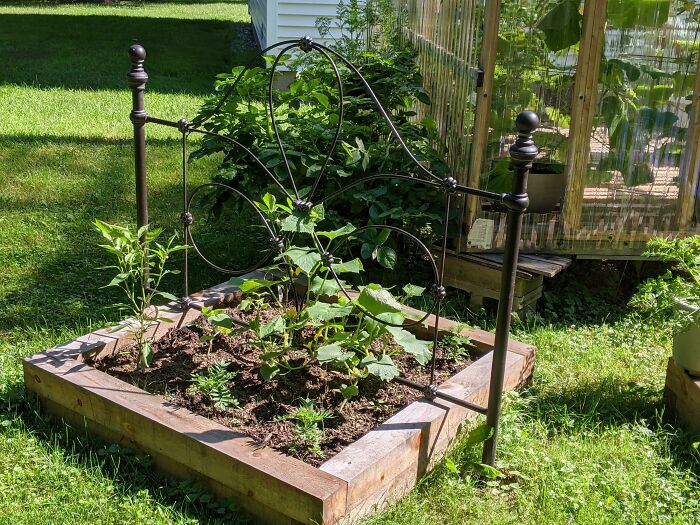 Broken Headboard Becomes Garden Trellis, Ta-Da!