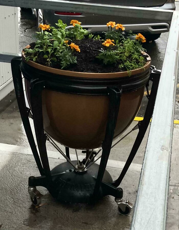 Timpani Drum? Instant Flower Pot!