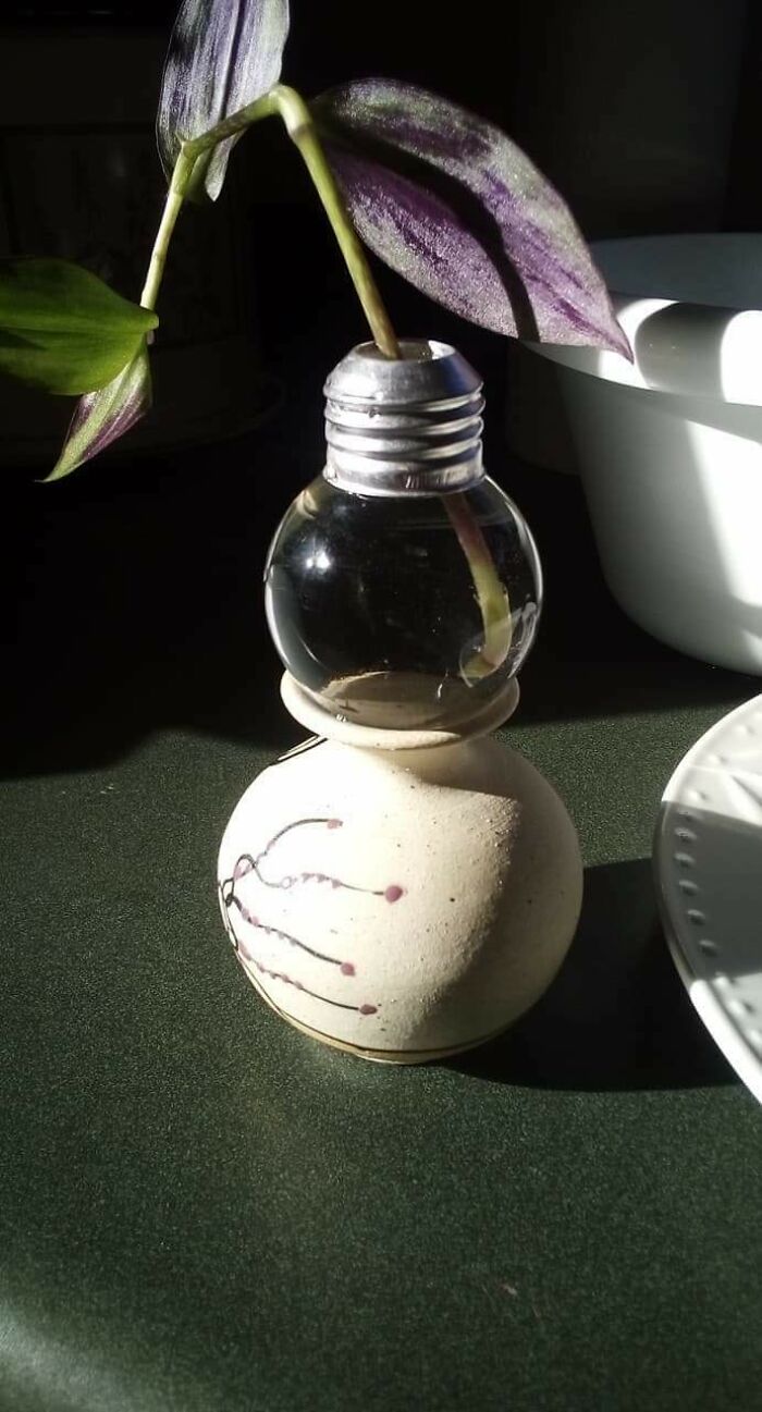 Blown Bulb Gets a Glow-Up as Mini Propagation Station