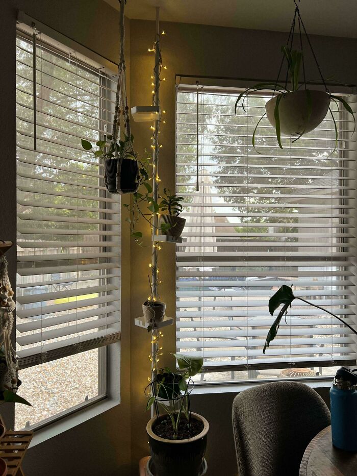 Shower Caddy Turned Into the Ultimate Plant Stand