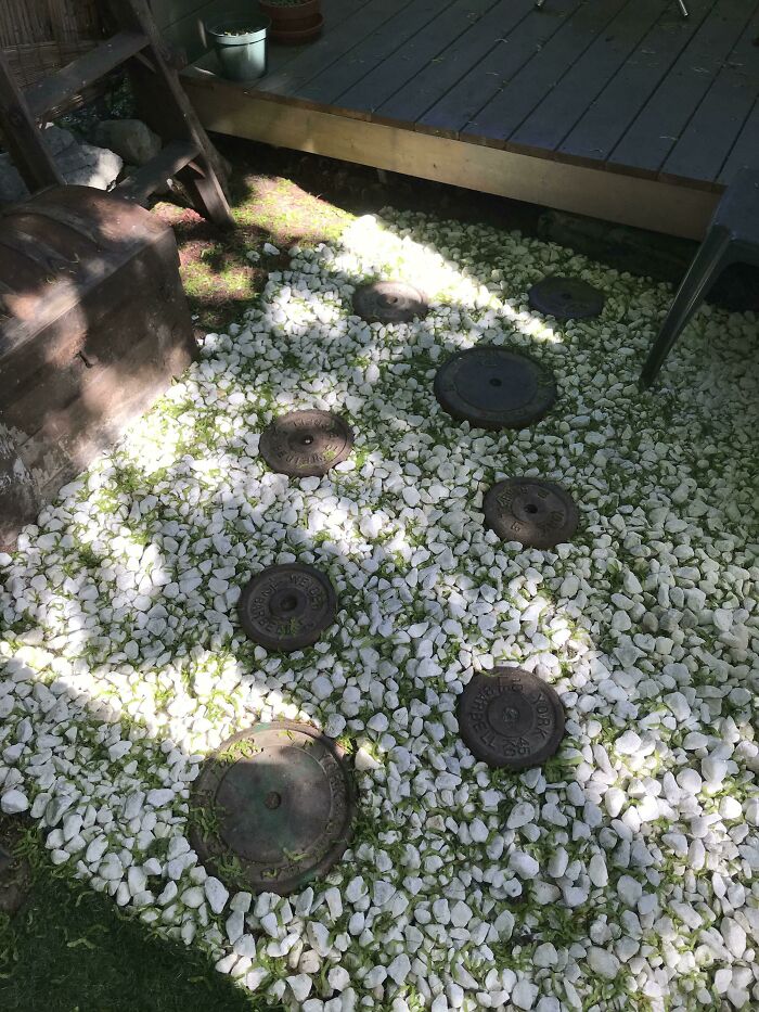 Old Bar Bells Become Backyard Stepping Stones