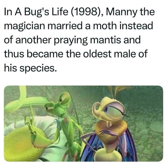 Wait, They Actually Made Memes About The 90s? Let's Dive In!