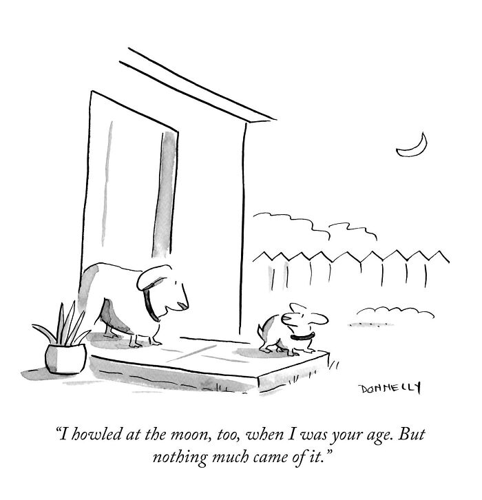 Waiting for It: Hilarious One-Panel Comics That Nail Life’s Weird Moments