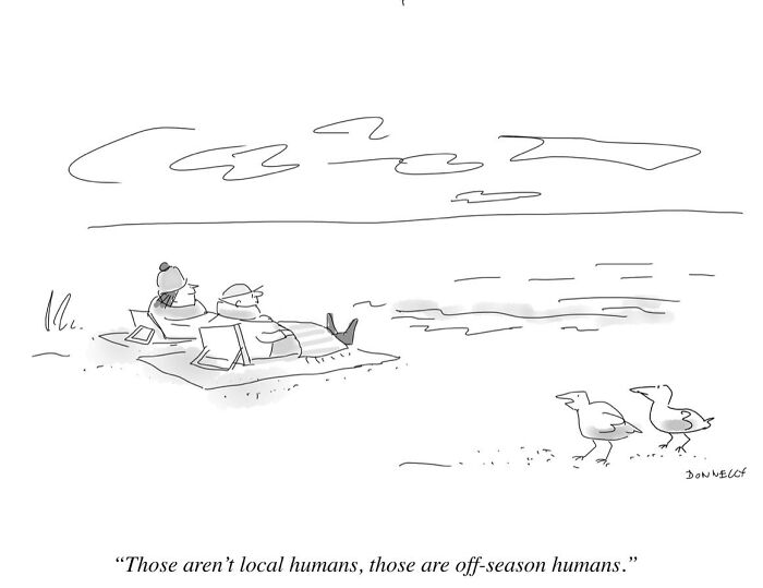 Waiting for It: Hilarious One-Panel Comics That Nail Life’s Weird Moments