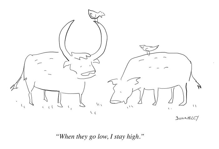 Waiting for It: Hilarious One-Panel Comics That Nail Life’s Weird Moments