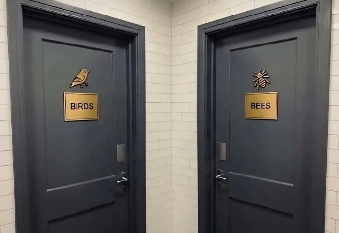 Explain It, Peter! Who Are The Birds? Who Are The Bees???