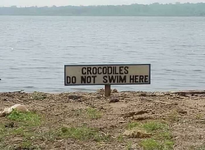 I'm Confused. Aren't We All?