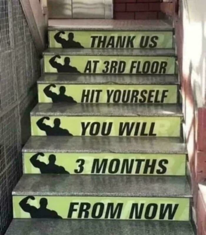 What Order Do You Actually Read This In?