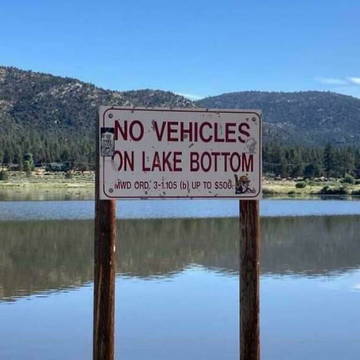 Which Way Do They Mean? No Idea!