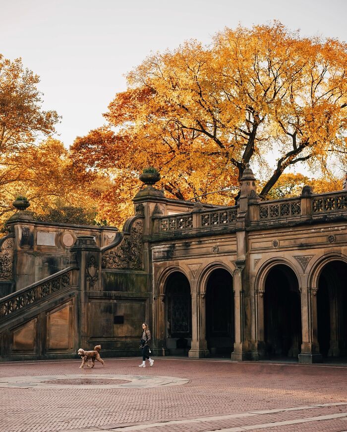 Wait, These Buildings Actually Exist?! 3 Mind-Blowing Architectural Wonders