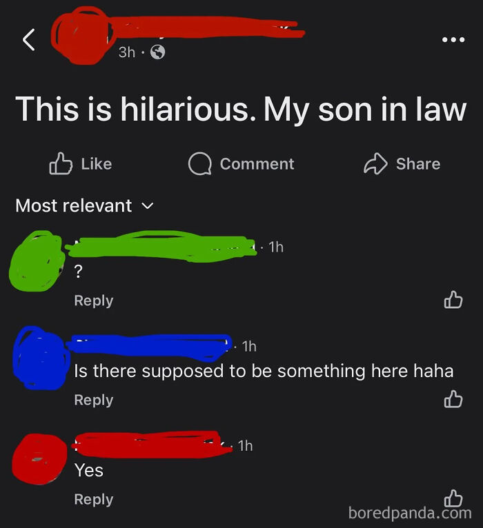 Son In Law Troubles