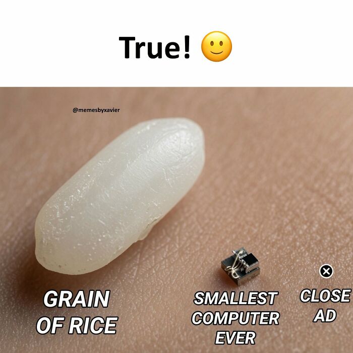 Wait, They Actually Ranked That?! 77 Memes That Will Totally Crack You Up