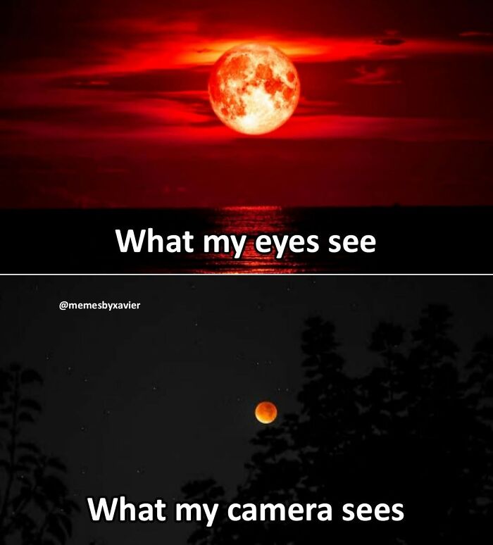 Wait, They Actually Ranked That?! 77 Memes That Will Totally Crack You Up