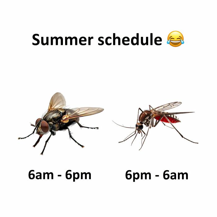 Wait, They Actually Ranked That?! 77 Memes That Will Totally Crack You Up