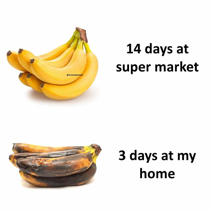 Wait, They Actually Ranked That?! 77 Memes That Will Totally Crack You Up