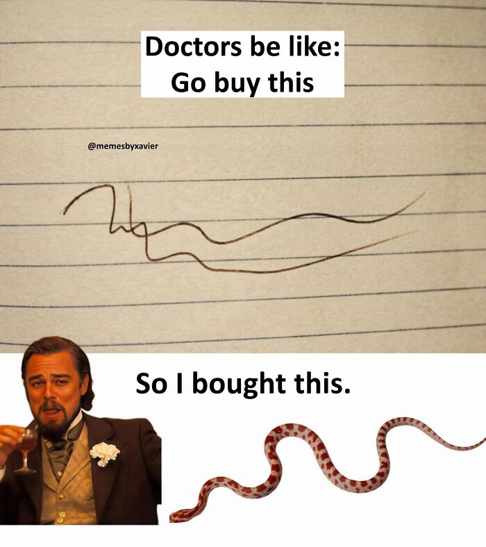 Wait, They Actually Ranked That?! 77 Memes That Will Totally Crack You Up