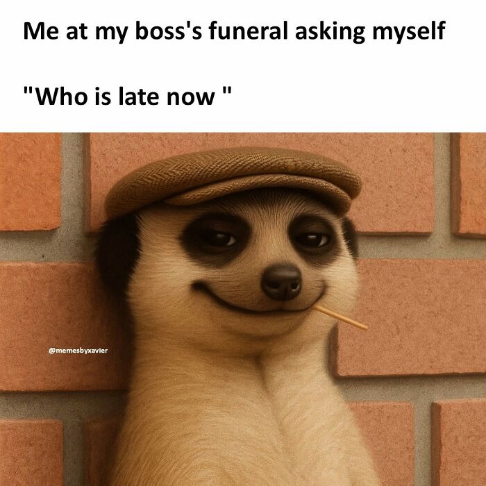Wait, They Actually Ranked That?! 77 Memes That Will Totally Crack You Up