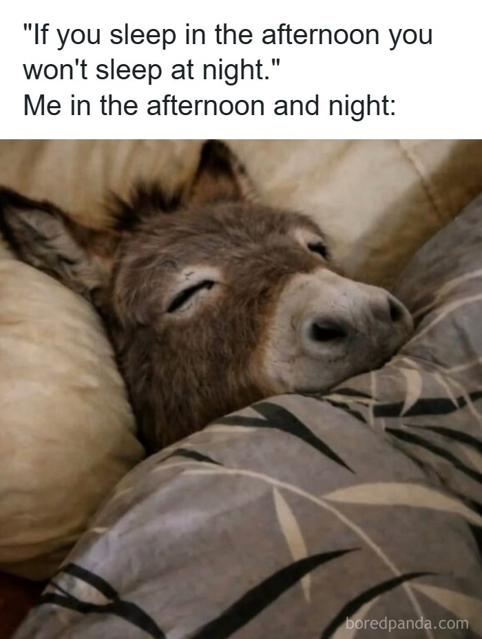 Wait, They Totally Nailed These Hilariously Relatable Memes!
