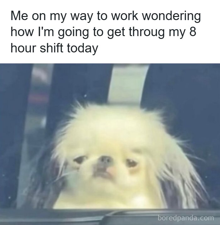 Wait, They Totally Nailed These Hilariously Relatable Memes!