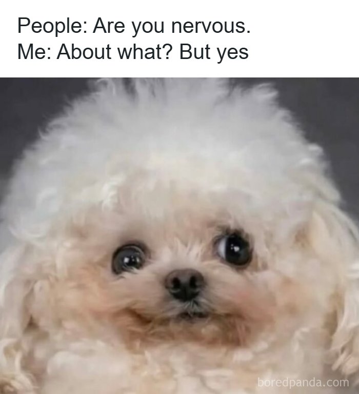 Wait, They Totally Nailed These Hilariously Relatable Memes!