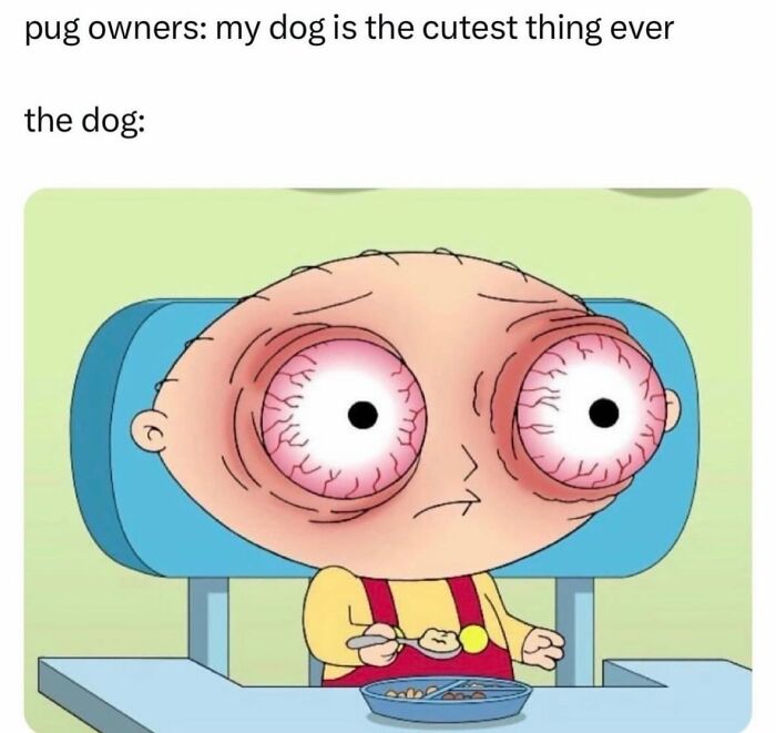 Wait, They Totally Nailed These Hilariously Relatable Memes!