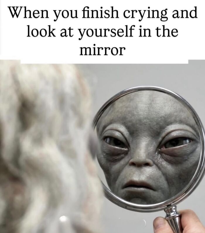 Wait, They Totally Nailed These Hilariously Relatable Memes!
