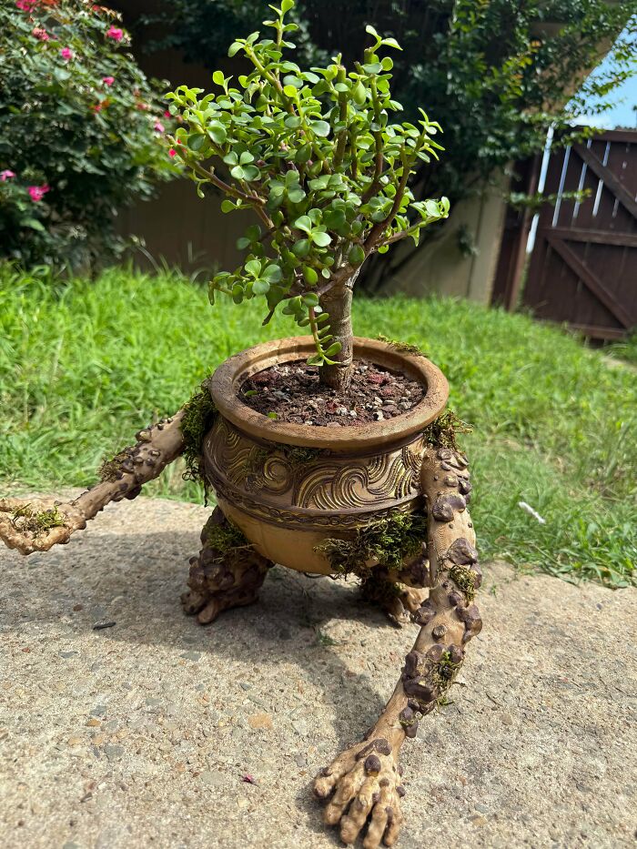 Printed A New Pot For My Bonsai Tree Because Why Not?