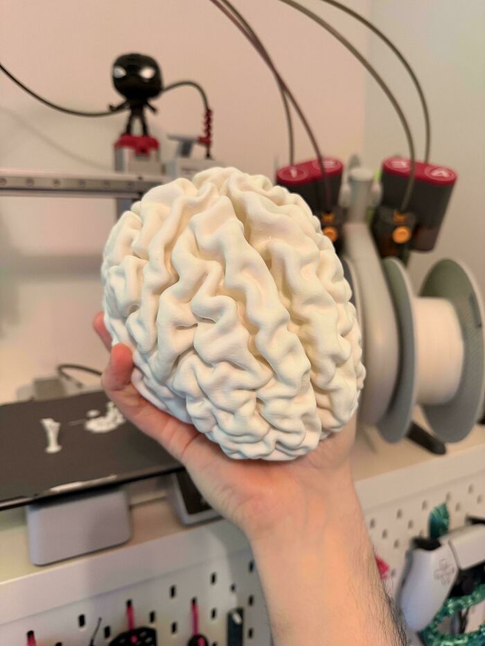 Printed My Own Brain From MRI Scan