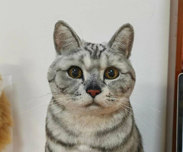 A Wool Portrait of a 17-Year-Old Cat (So Cute)